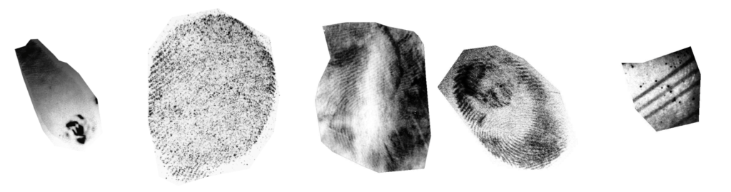 Innovatrics Ranked Among Top Providers of Algorithms for Identification of Latent Fingerprints