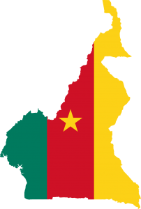 Cameroon Flag